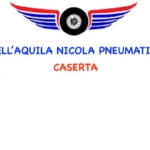 dellaquila300